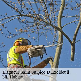 Elagueur  saint-sulpice-d-excideuil-24800 NL Habitat