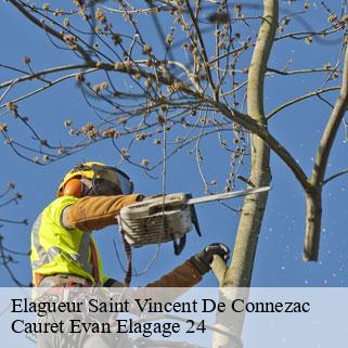 Elagueur  saint-vincent-de-connezac-24190 Cauret Evan Elagage 24