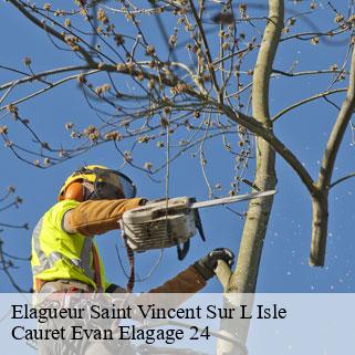 Elagueur  saint-vincent-sur-l-isle-24420 Cauret Evan Elagage 24