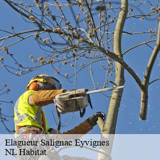 Elagueur  salignac-eyvignes-24590 NL Habitat