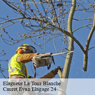 Elagueur  la-tour-blanche-24320 Cauret Evan Elagage 24