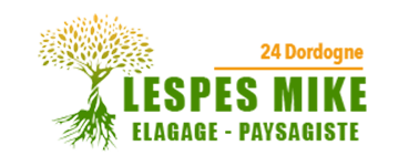 LESPES Mike Elagage 24